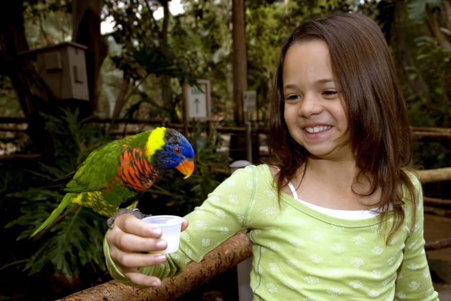 San Diego: San Diego Zoo Safari Park 1-Day Ticket - Elephant Overlook offers one of the park’s best viewpoints