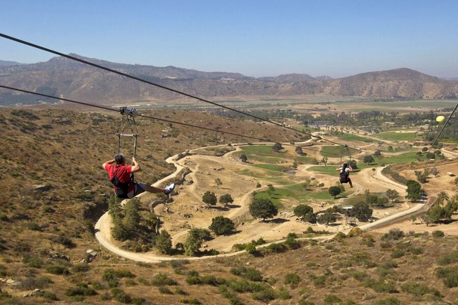 San Diego: San Diego Zoo Safari Park 1-Day Ticket - Wings of the World and Hidden Jungle reward careful looking