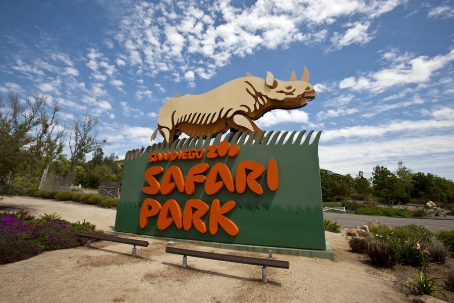 San Diego: San Diego Zoo Safari Park 1-Day Ticket - Arriving early makes the 1,800-acre park easier