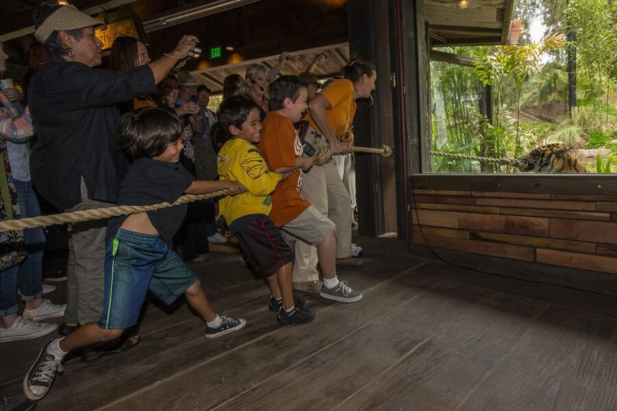 San Diego Zoo and Safari Park: 2-Day Entry Ticket - What the $152 ticket is really buying