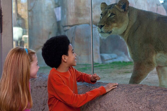 San Diego Zoo Safari Park 1-Day Pass: Any Day Ticket - A safari park, not a traditional city zoo