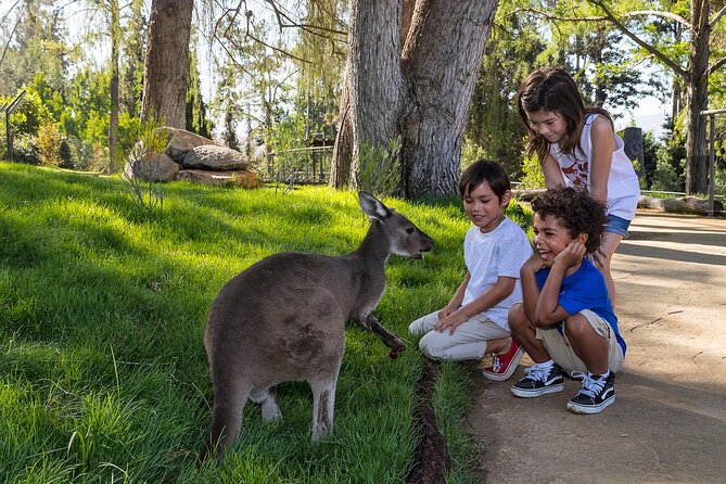 San Diego Zoo Safari Park 1-Day Pass: Any Day Ticket - Start with the Africa Tram