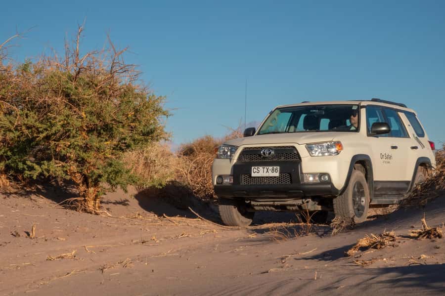 San Pedro de Atacama: Wildlife Safari and Photography Tour - What the photography setup adds