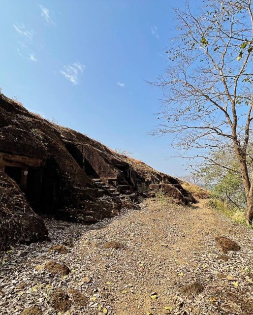 Sanjay Gandhi National Park + Kenheri Caves + Lion Safari - Sanjay Gandhi National Park and the lion safari