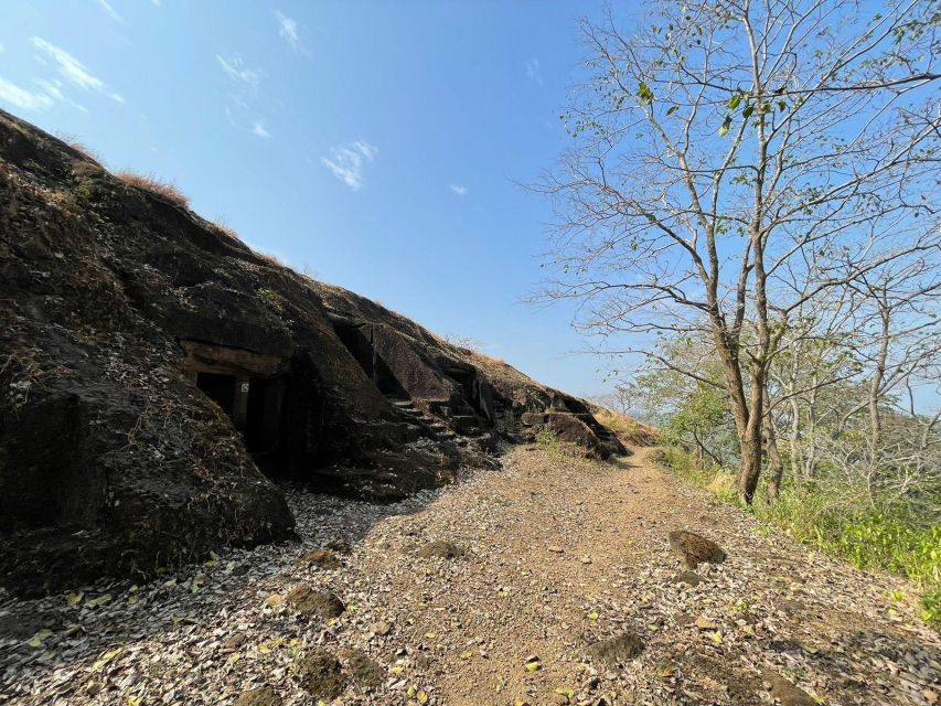 Sanjay Gandhi National Park + Kenheri Caves + Lion Safari - The Jain temple and the religious thread of the day