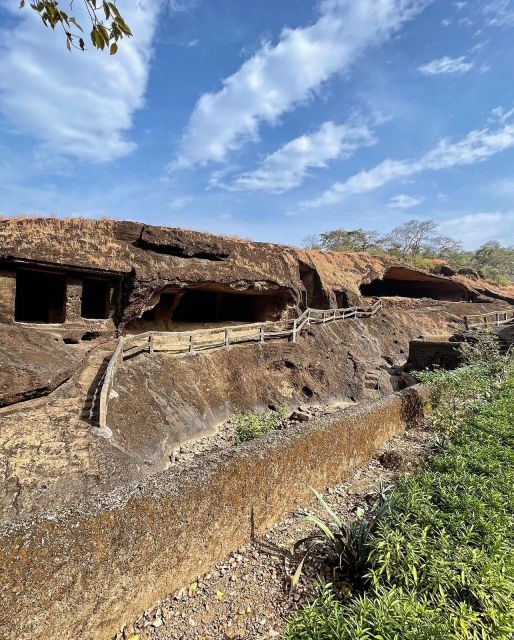 Sanjay Gandhi National Park + Kenheri Caves + Lion Safari - Guides make the biggest difference