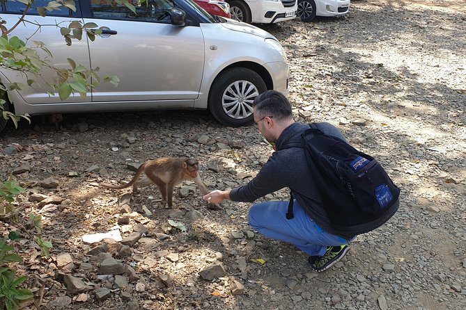Sanjay Gandhi National Park(SGNP) + Kenheri Caves + Lion Safari + Jain Temple - Timing, lunch, and what to bring