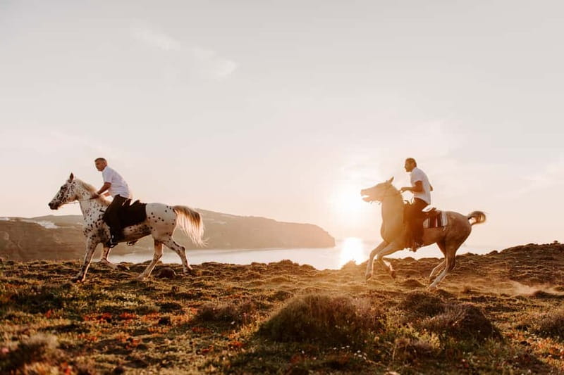 Santorini: Extreme Horse Safari with Beach Gallop - Safety, comfort, and horse care