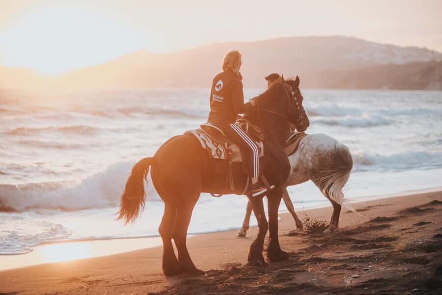 Santorini: Extreme Horse Safari with Beach Gallop - What this two-hour Santorini horse safari is really like
