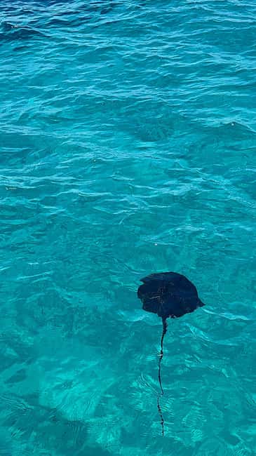Sarandë Sea Safari: Speedboat to Hidden Coves & Wild Beaches - Leaving Sarandë Harbor by speedboat