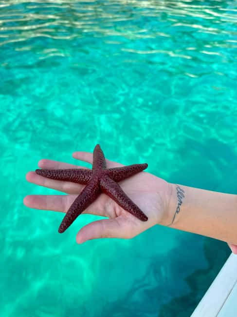 Sarandë Sea Safari: Speedboat to Hidden Coves & Wild Beaches - Kakome Bay and Soldier Bay