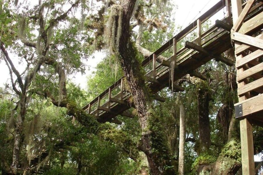 Sarasota: Myakka State Park E-bike Safari Experience - Is $85 a fair price?