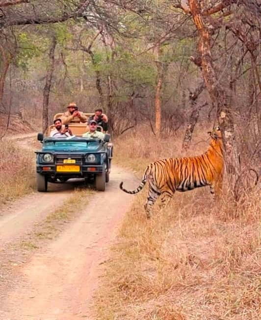 Sawai Madhopur: Ranthambore National Park Guided Jeep Safari - Lakes, hills, and the best wildlife pauses