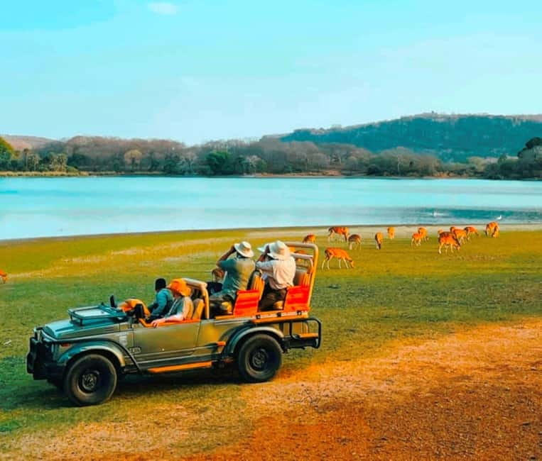 Sawai Madhopur: Ranthambore National Park Guided Jeep Safari - Cost, inclusions, and possible extra charges