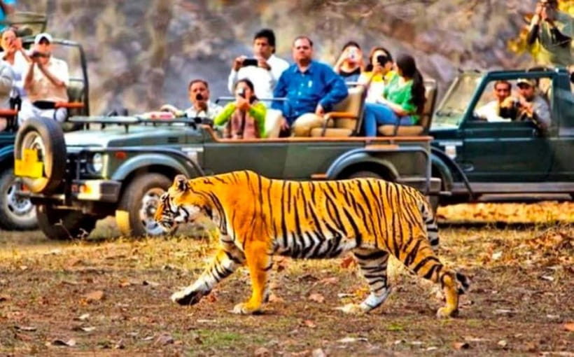 Sawai Madhopur: Ranthambore National Park Guided Jeep Safari - Setting out by safari jeep