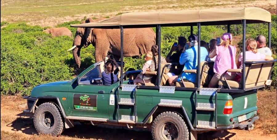 Schotia Safaris: Best Wildlife Encounters in Port Elizabeth - Four hours inside Schotia Private Game Reserve