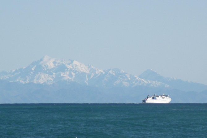 Seal Coast Safari - Exclusive access to Wellington's secret coast - Who should book the Seal Coast Safari