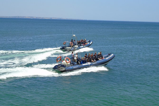 Sealife Sea Safari, Dolphin Watching with Marine Biologist's Lagos - Practical details that affect your day