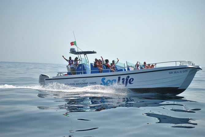 Sealife Sea Safari, Dolphin Watching with Marine Biologist's Lagos - What a dolphin encounter actually looks like