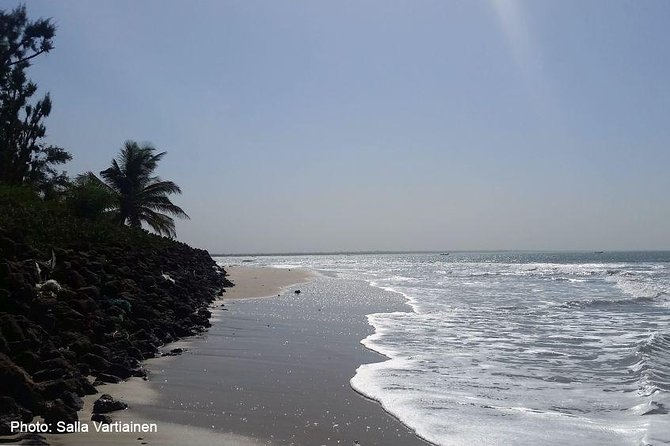 See It All – Safari Tour - Why this Gambia day trip works well