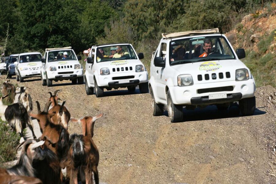 Self-Drive Jeep Safari to South Coast, Palm Beach & Canyons - The Cretan meal is more than a quick lunch