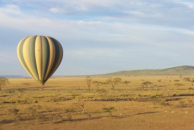 Serengeti Balloon Safari and authentic bush breakfast - Why a Serengeti balloon safari feels different