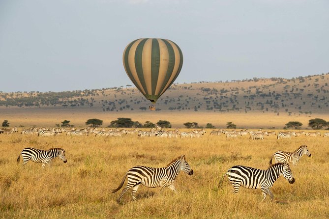 Serengeti Balloon Safari and authentic bush breakfast - Choosing between Seronera, Kogatende, Ndutu, and Kiwarira