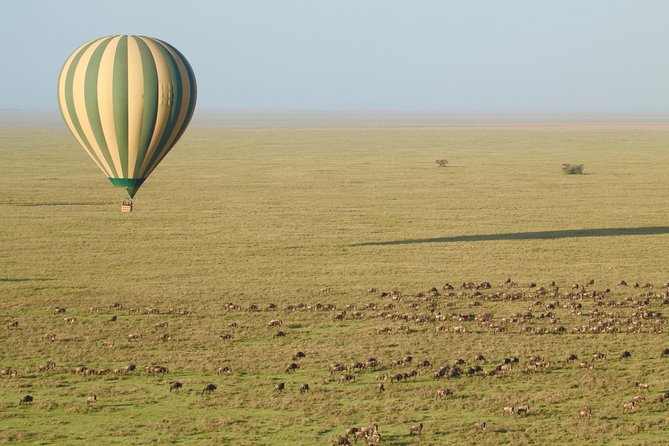 Serengeti Balloon Safari and authentic bush breakfast - Is $550 per person good value?
