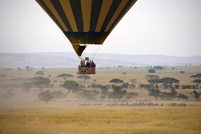 Serengeti Balloon Safari and authentic bush breakfast - What past flights reveal about the service