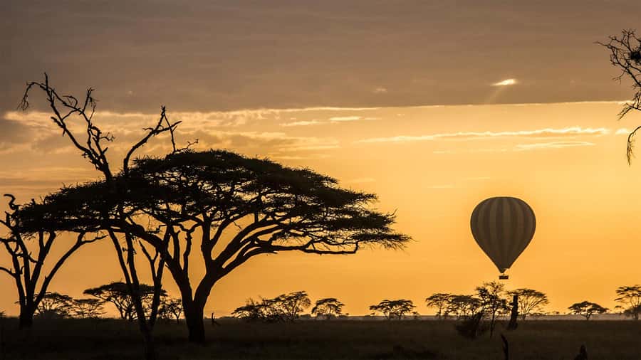 Serengeti National Park: Balloon Safari at Dawn - Breakfast under an acacia tree