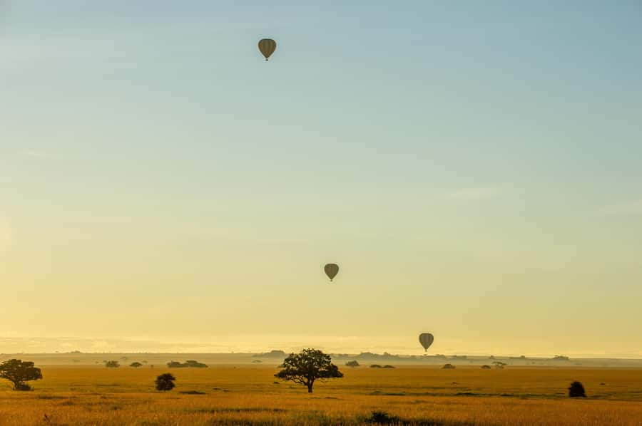 Serengeti National Park: Balloon Safari at Dawn - Is $599 a fair price?
