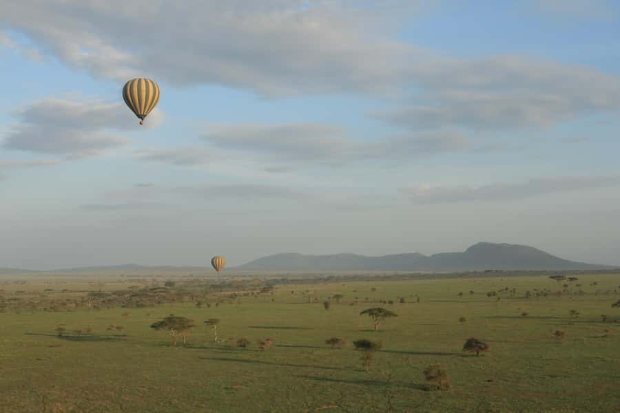 Serengeti National Park: Balloon Safari at Dawn - Who will enjoy this most?