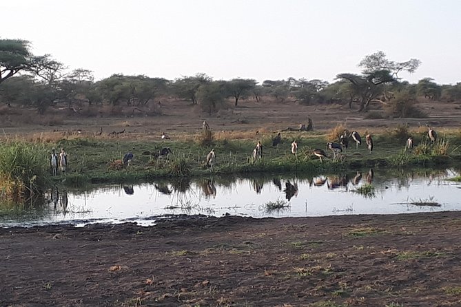 serengeti & ngorongoro 3 days private tour - Who should book this safari?