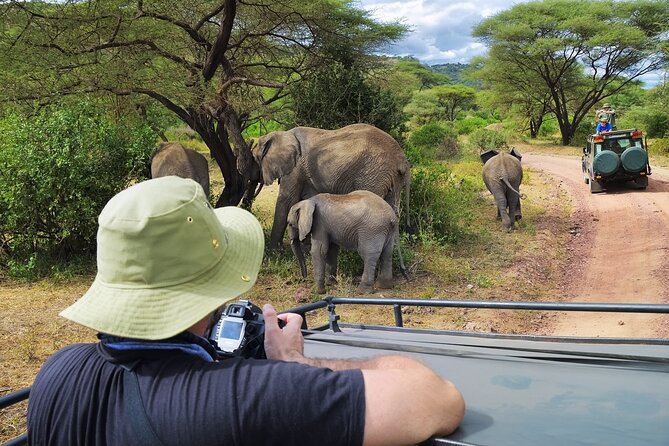 Serengeti & Ngorongoro fly in safari - Key points at a glance