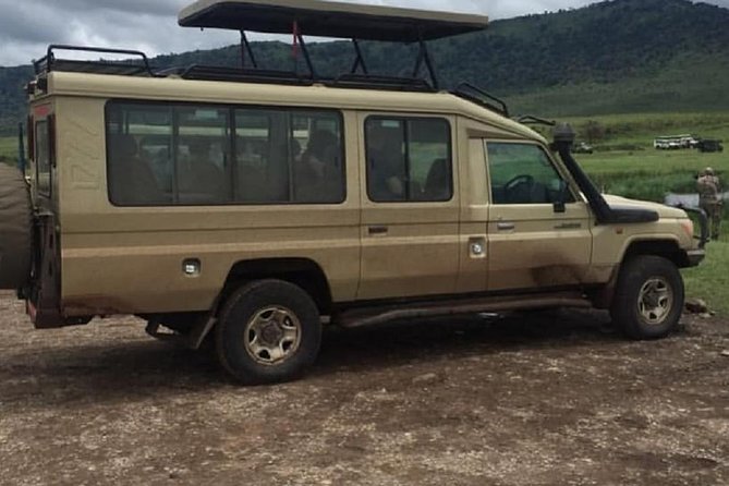 serengeti, ngorongoro & tarangire 5days private tour - Serengeti: give the big park enough time