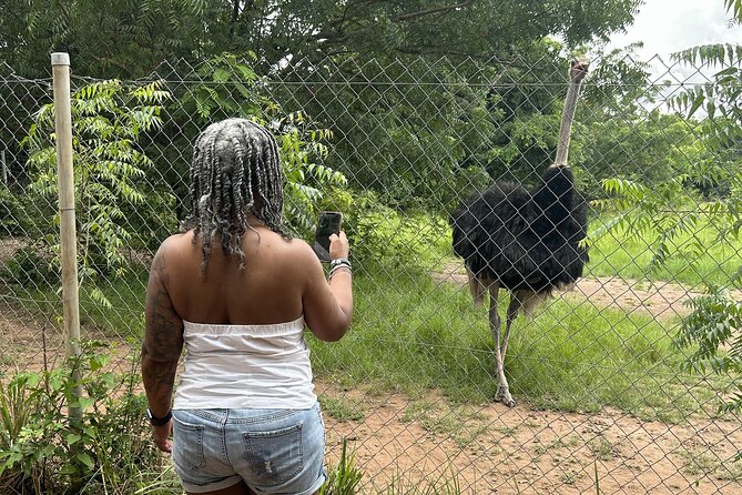 Shai Hills Safari - Hike & See Animals - Bird watching in the reserve
