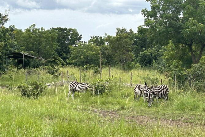 Shai Hills Safari - Hike & See Animals - Is $130 a fair price?