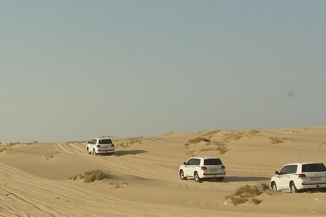 Sharing or Private Safari, Sand Boarding, Camel Ride, inland Sea Quick swim - Why this Doha safari is different