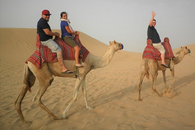 Sharing or Private Safari, Sand Boarding, Camel Ride, inland Sea Quick swim - Leaving Doha for Mesaieed and Sealine