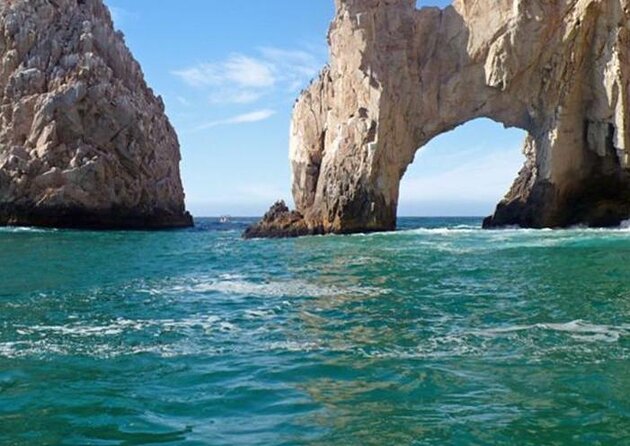 Shark Safari & Snorkel Adventure in Cabo San Lucas - Key points to know before you book