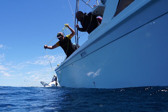 Shark Safari & Snorkel Adventure in Cabo San Lucas - The included gear, snacks, and underwater footage