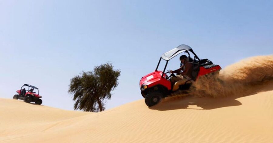 Sharm El-Sheikh: Desert Buggy Safari Adventure - How the experience is run