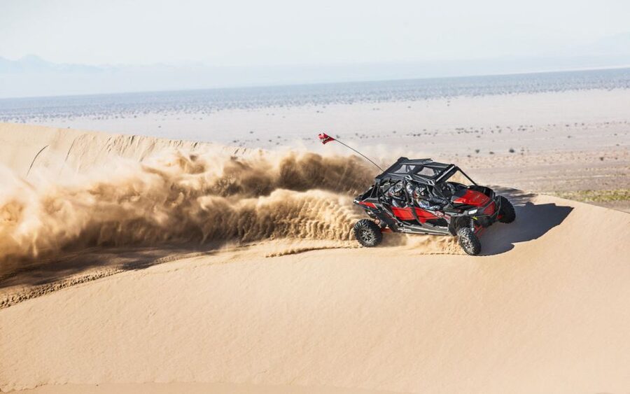 Sharm El-Sheikh: Desert Buggy Safari Adventure - Who should book this safari
