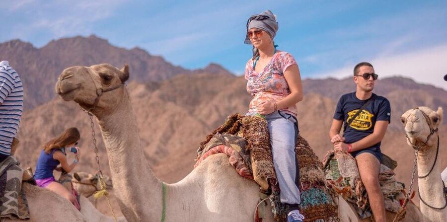 Sharm El Sheikh: Quad bike, Safari, Camel With Dinner & Show - Dinner under the South Sinai sky