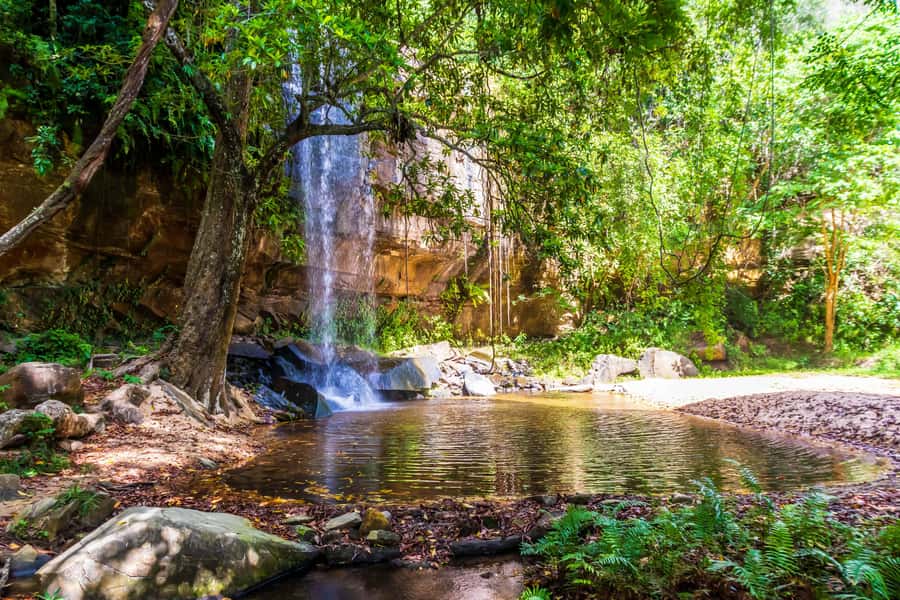 Shimba Hills Day Safari & Sheldrick Falls Hike Private Tour - Game drive through Shimba Hills National Reserve