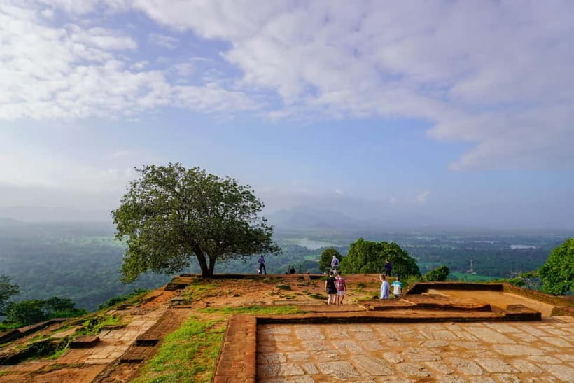 Sigiriya Lion Rock Hike & Minneriya National Park Safari - What the private jeep safari feels like