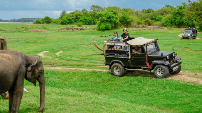 Sigiriya Rock Hike & Minneriya Elephant Safari – Day Tour - Minneriya National Park by 4x4