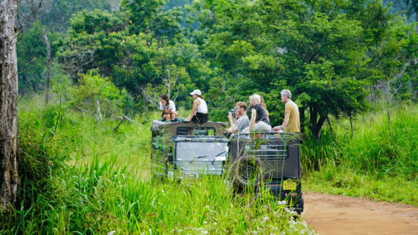 Sigiriya Rock Hike & Minneriya Elephant Safari – Day Tour - Lunch, audio guiding, and what is really included