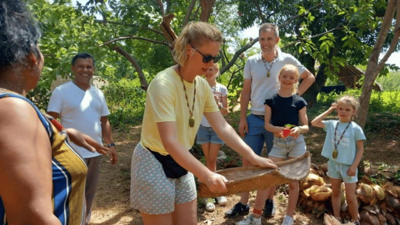 Sigiriya Rock Hike & Minneriya Elephant Safari – Day Tour - How much value do you get for $57?