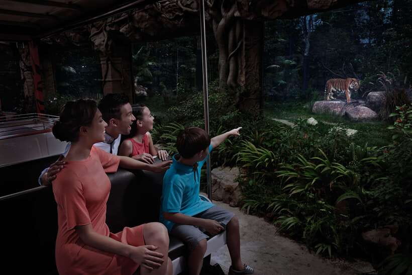 Singapore: Night Safari Entry Ticket with Tram Ride - The tram ride through six wildlife zones
